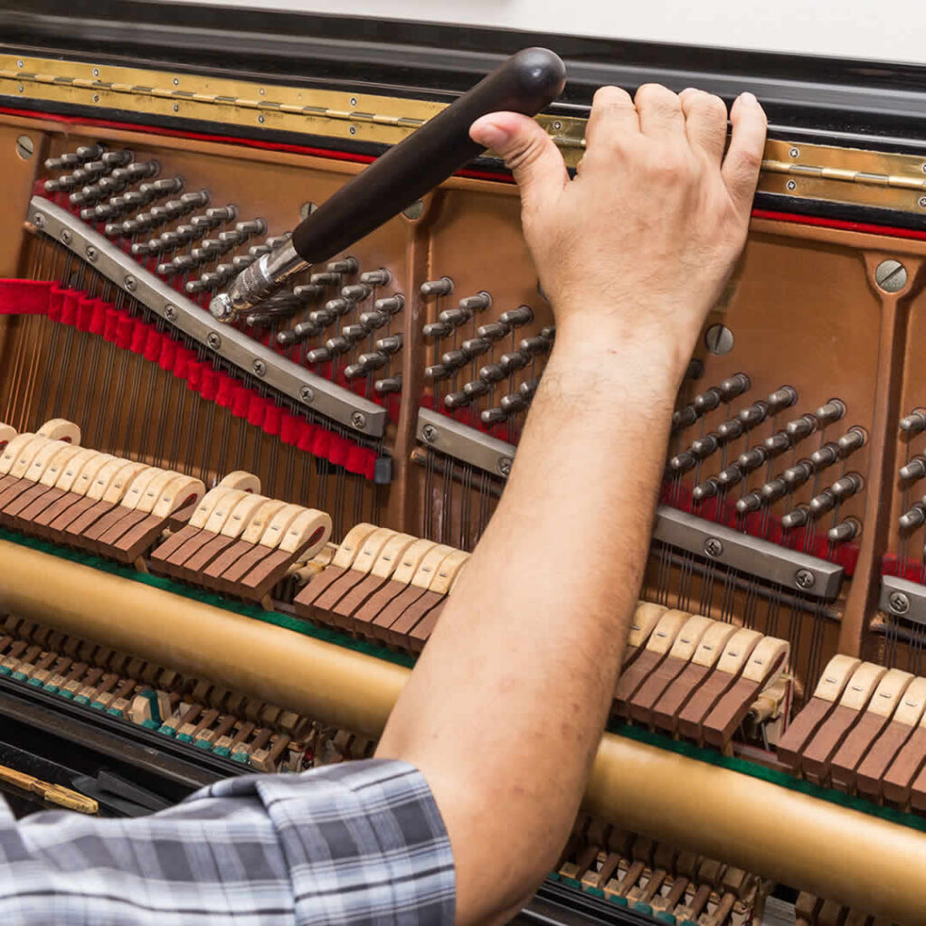 Professional-Piano-Tuner